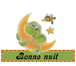 bone nui